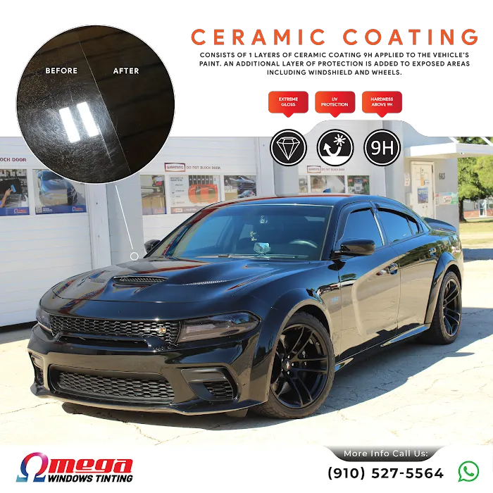 Omega Windows Tinting 8