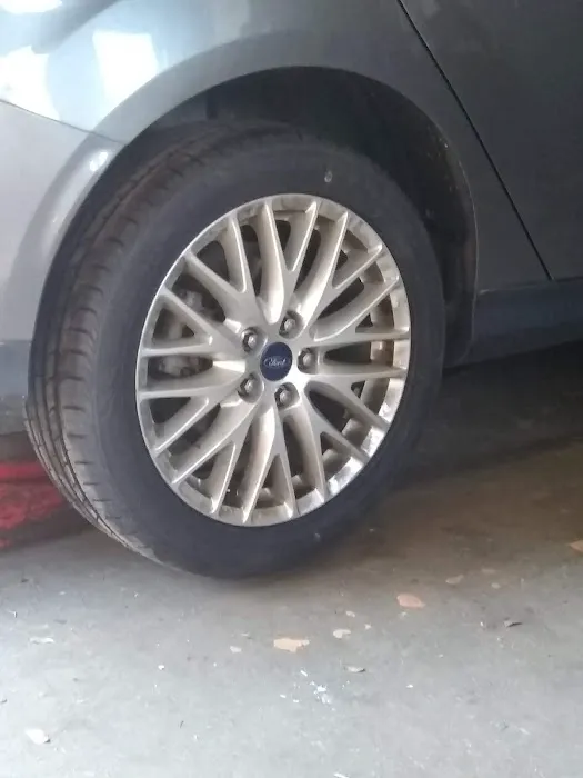 Fox's Tire 0