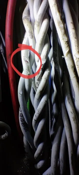 Apex Truck & Auto Repair 1