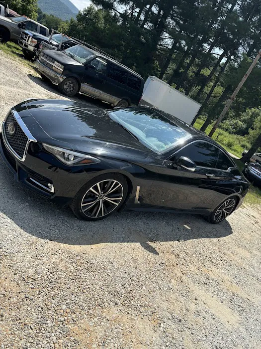 Panthertown Tint & Customs 3