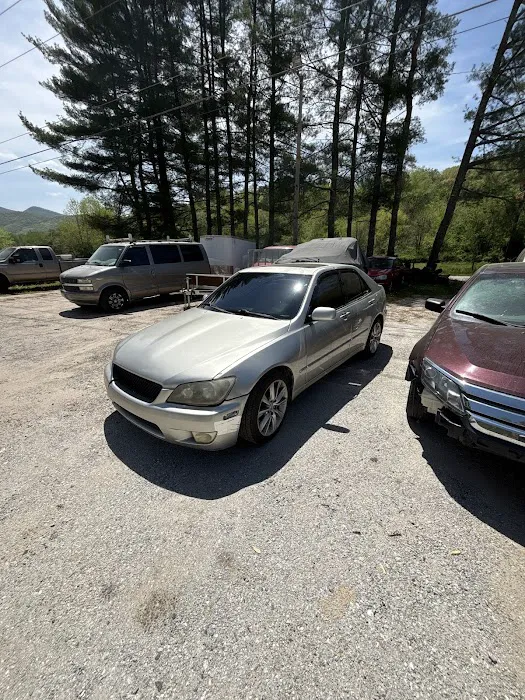 Panthertown Tint & Customs 6