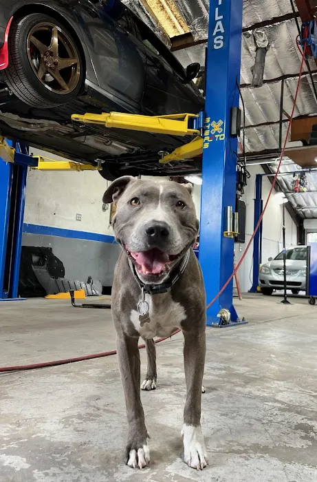 Shea's Automotive 7