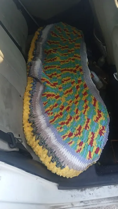 Sonia's car seat covers 2