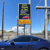Auto Shield & Tint