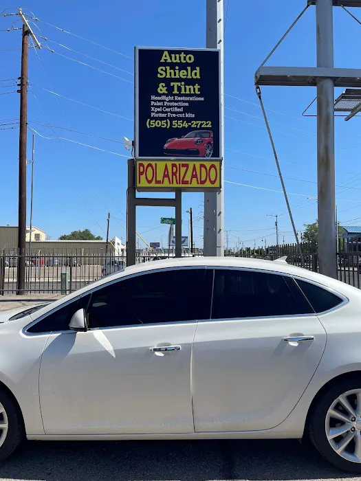 Auto Shield & Tint 9