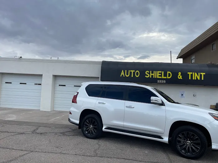 Auto Shield & Tint 5