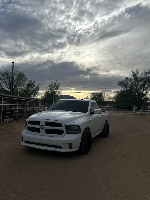 La Patrona Tire Shop LLC 0