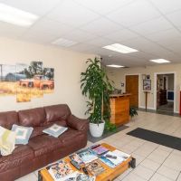 Shelby Automotive