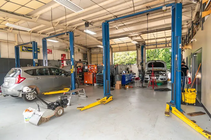 Shelby Automotive 2
