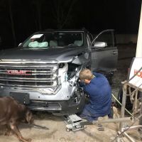 Shelby Collision