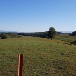 Newfound Tire & Quick Lube, Inc ico