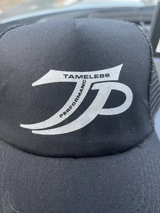 Tameless Performance 0