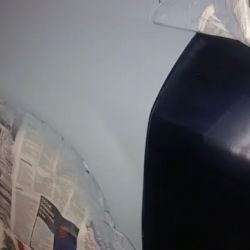 Custom Body Shop ico