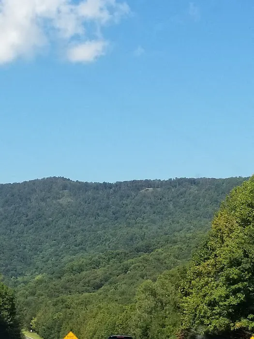 Tennessee Valley Custom Trailers 2