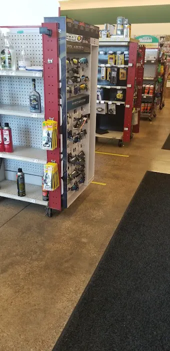 O'Reilly Auto Parts