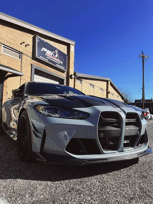 PSI PROformance Inc 7