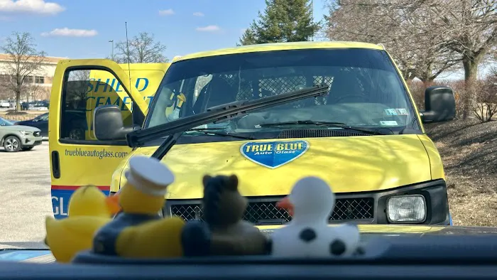 True Blue Auto Glass 0