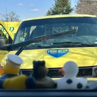 True Blue Auto Glass