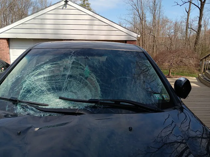 True Blue Auto Glass 3