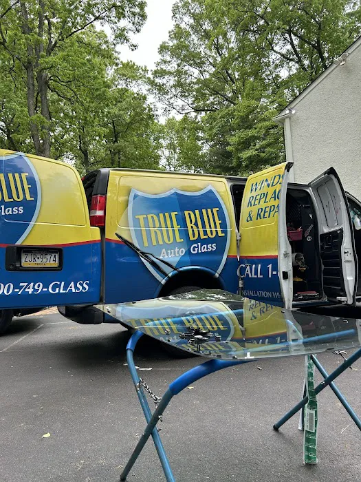 True Blue Auto Glass 9