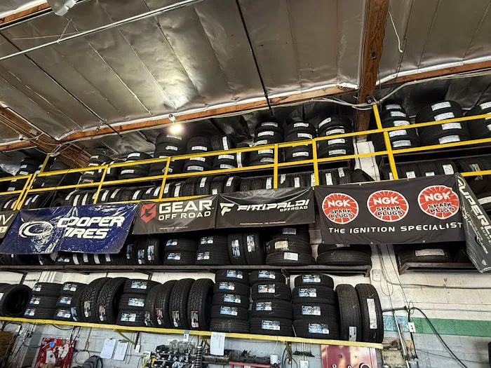 Plus 1 Performance 5