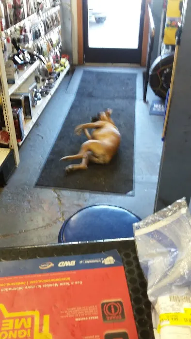 MOUNTAIN AUTO PARTS 3