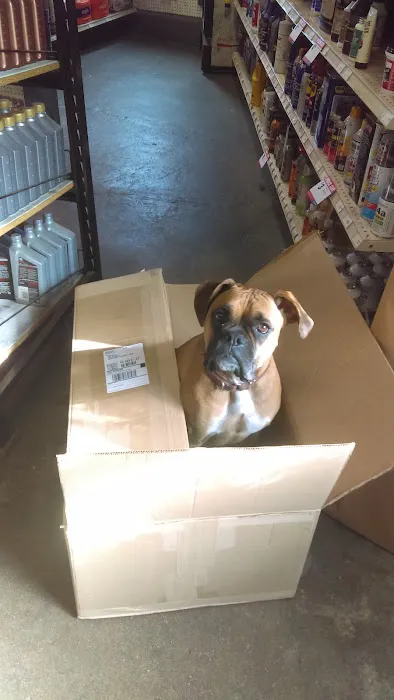 MOUNTAIN AUTO PARTS 8