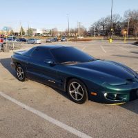 Cheap Auto Tint / The Tint Shop