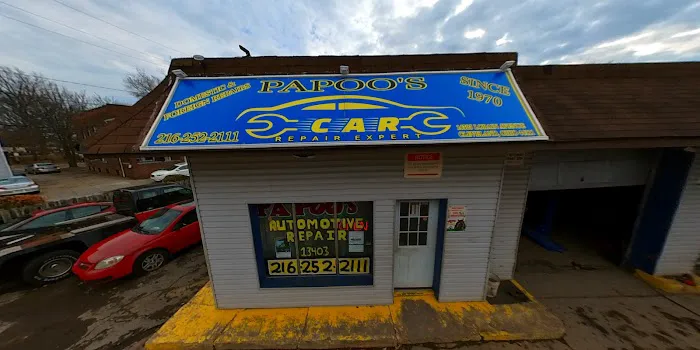 Papoo's Automotive 4