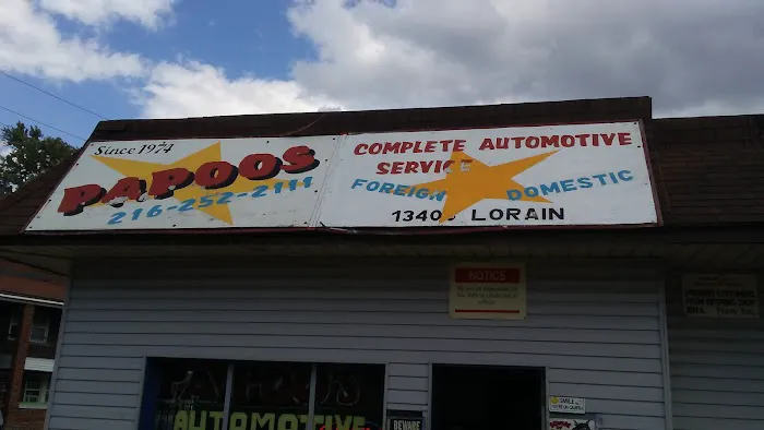 Papoo's Automotive 3