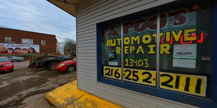 Papoo's Automotive 9