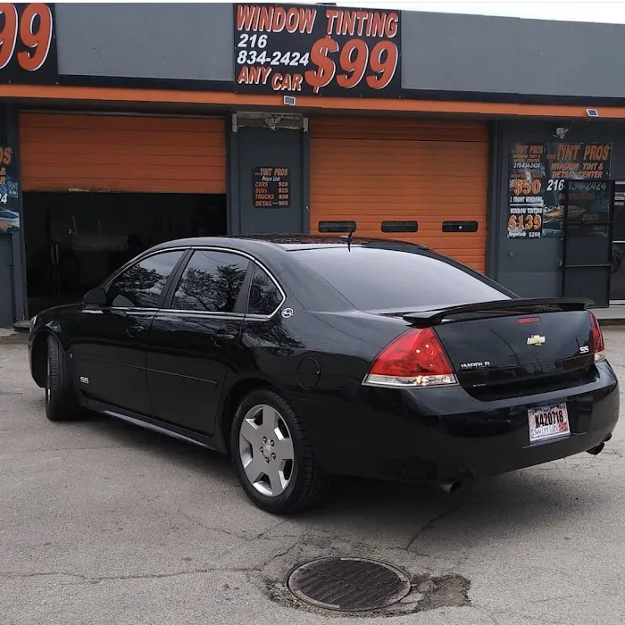 Msw Tint Pros 0