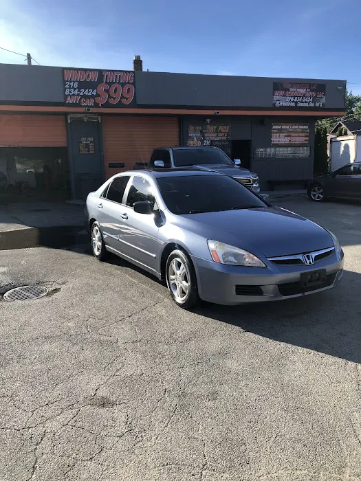 Msw Tint Pros 4