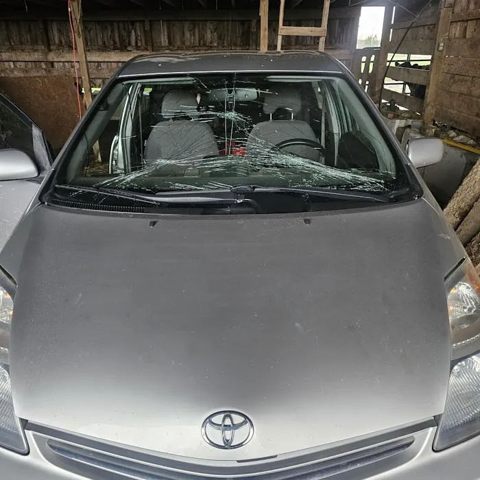 Pro Edge Autoglass 2