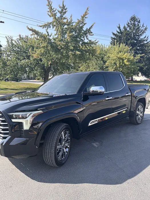 Levelz Window Tint 5