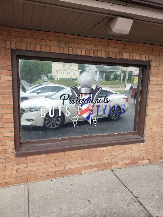 Levelz Window Tint 9