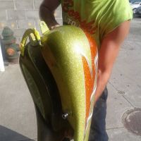 Boroski Auto Body Inc