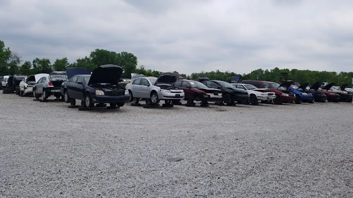 Pull-A-Part 8
