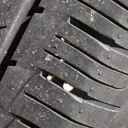 Conrad's Tire Express & Total Car Care ico