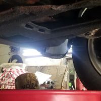 T & M Automotive Services