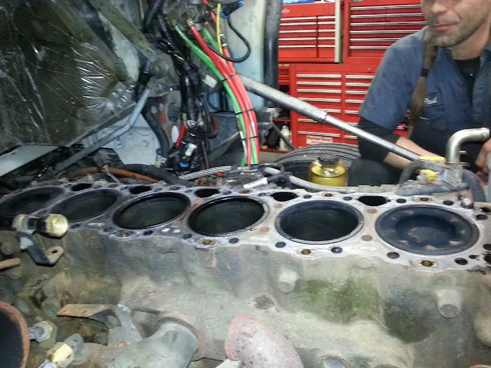 Tree Trimmin Express 4