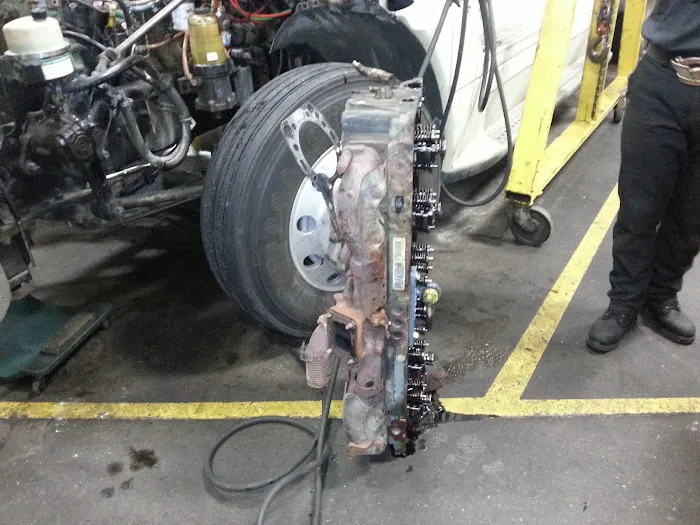 Tree Trimmin Express 3