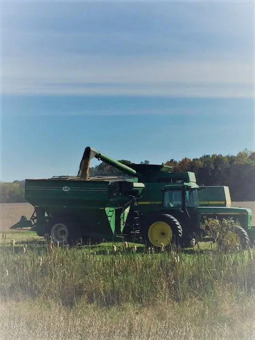 Vaughan's Lawn & Tractor 3