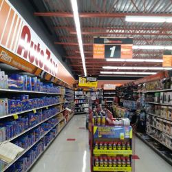 AutoZone Auto Parts ico