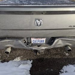 Quality Auto Body ico