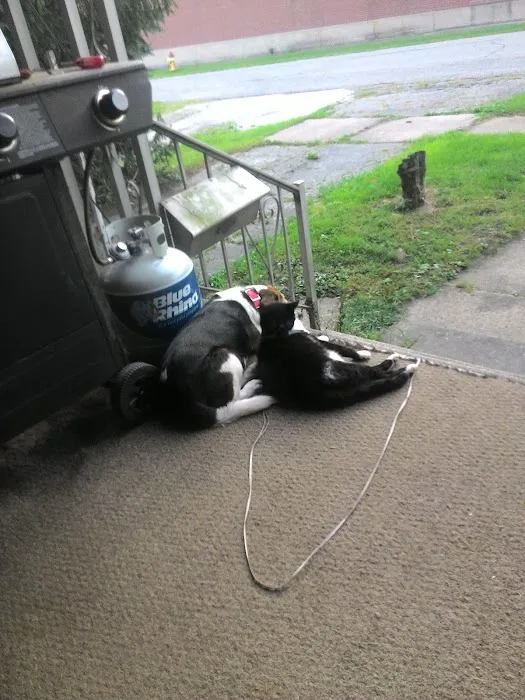 Koby radiator 0