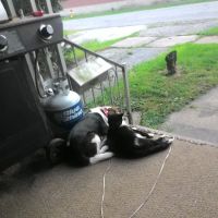 Koby radiator