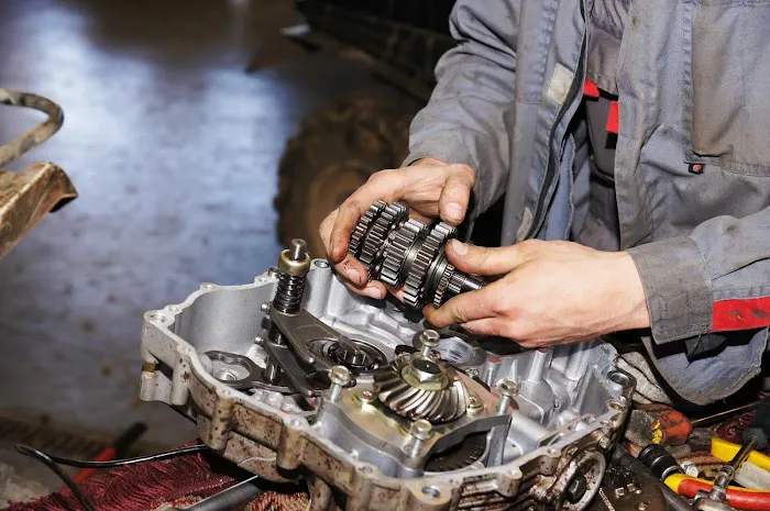 Covelli Transmission & Auto, Inc. 3