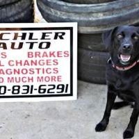 Eichler Auto LLC