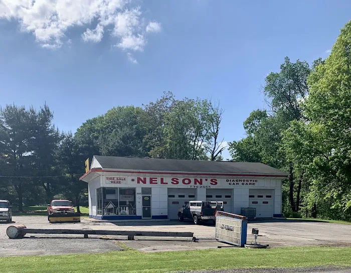 Nelson's Diagnostic Car Care 0